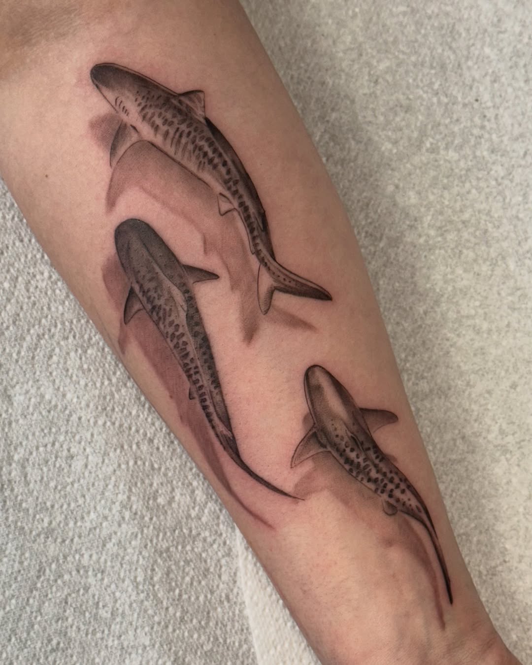 29 Shark Tattoo Ideas 2026: Bold Ocean Ink Trends That Are Taking Over