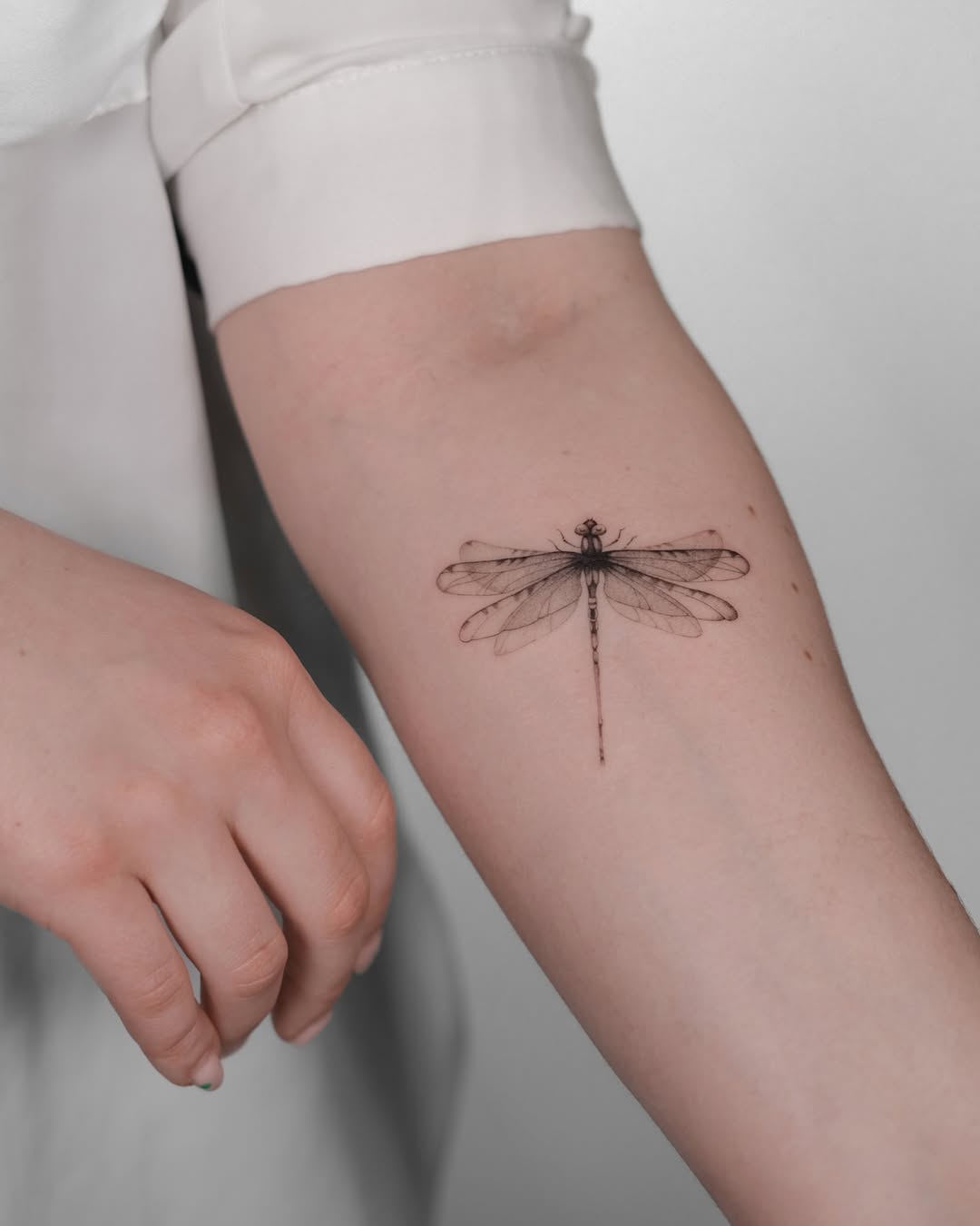 31 Dragonfly Tattoo Ideas 2026: Elegant Fine Line Designs, Tiny Tattoos & Feminine Ink Inspiration