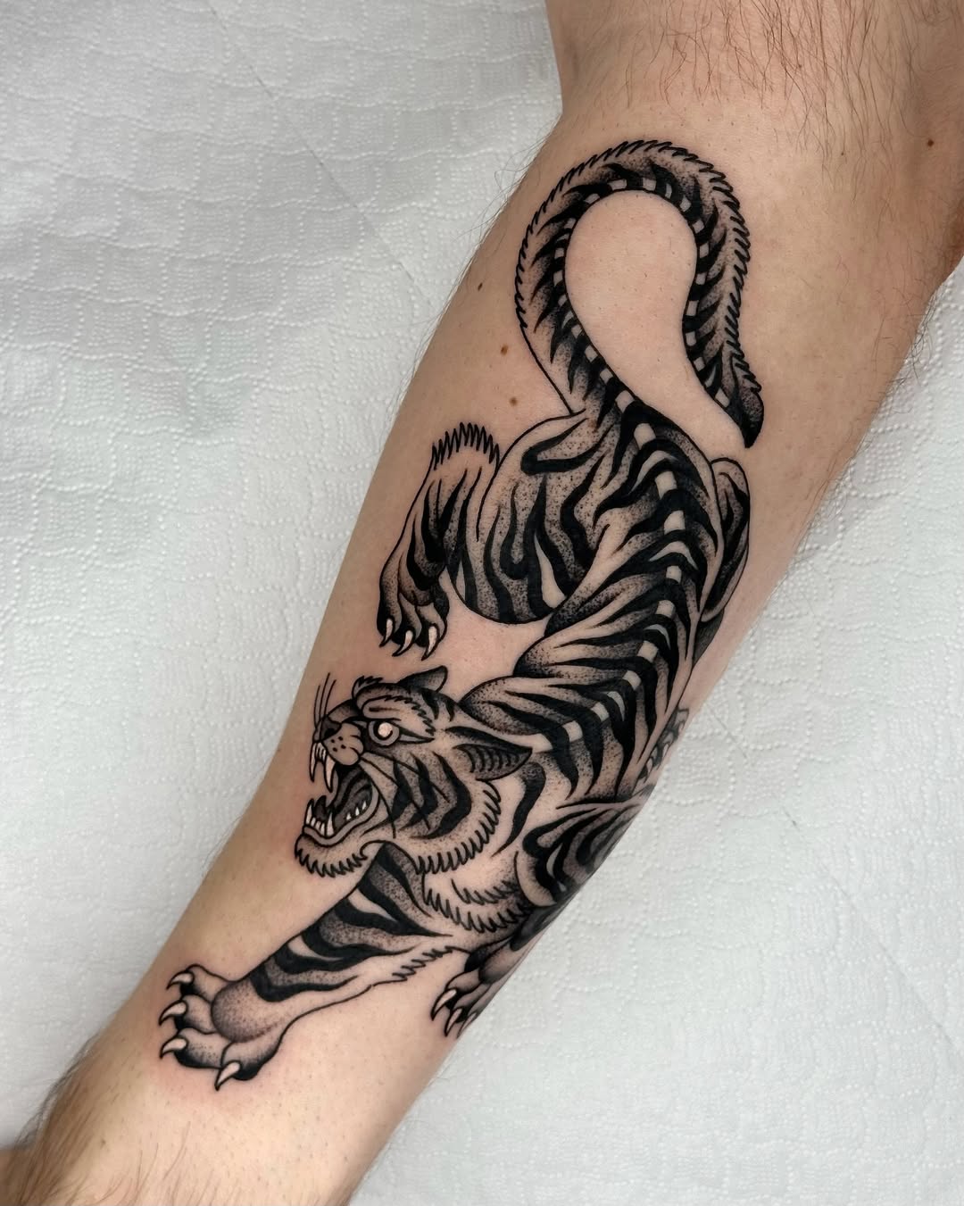 30 Tiger Tattoo Ideas 2026: Powerful Designs That Blend Strength, Art, and Personality
