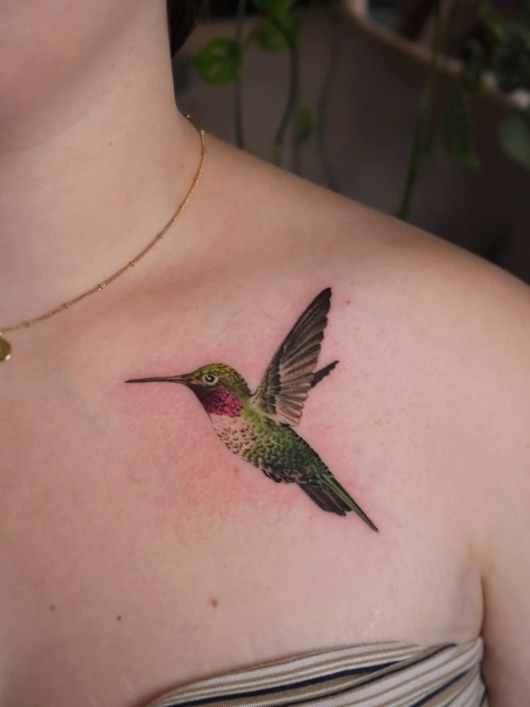 30 Hummingbird Tattoo Ideas 2026: Elegant Designs, Meaning & Styling Inspiration