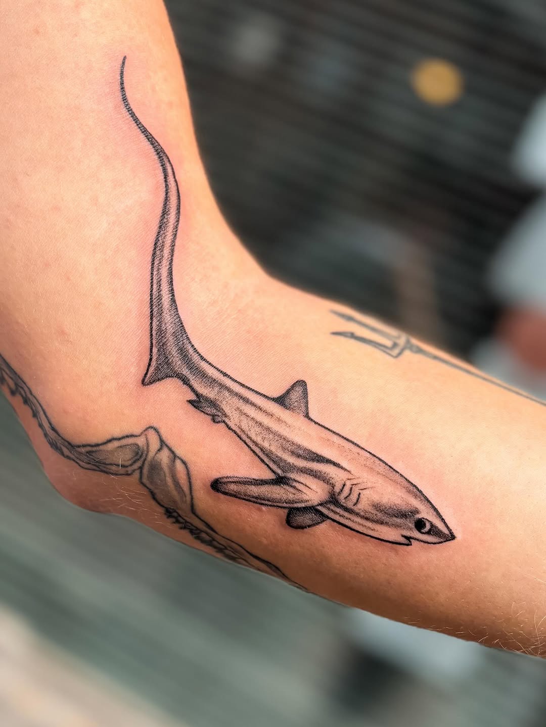 29 Shark Tattoo Ideas 2026: Bold Ocean Ink Trends That Are Taking Over