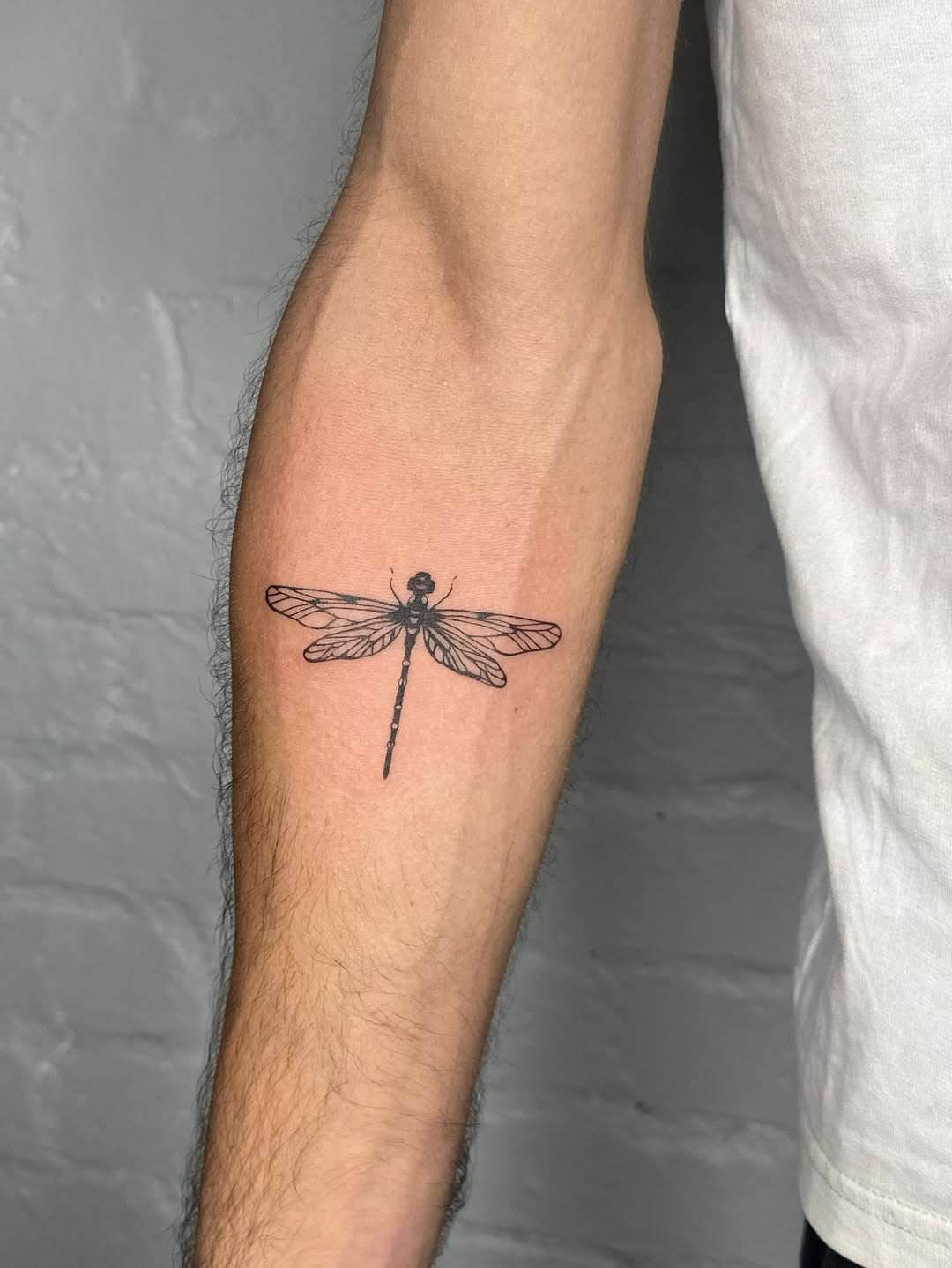 31 Dragonfly Tattoo Ideas 2026: Elegant Fine Line Designs, Tiny Tattoos & Feminine Ink Inspiration