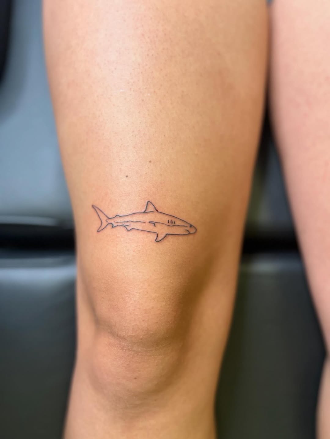29 Shark Tattoo Ideas 2026: Bold Ocean Ink Trends That Are Taking Over