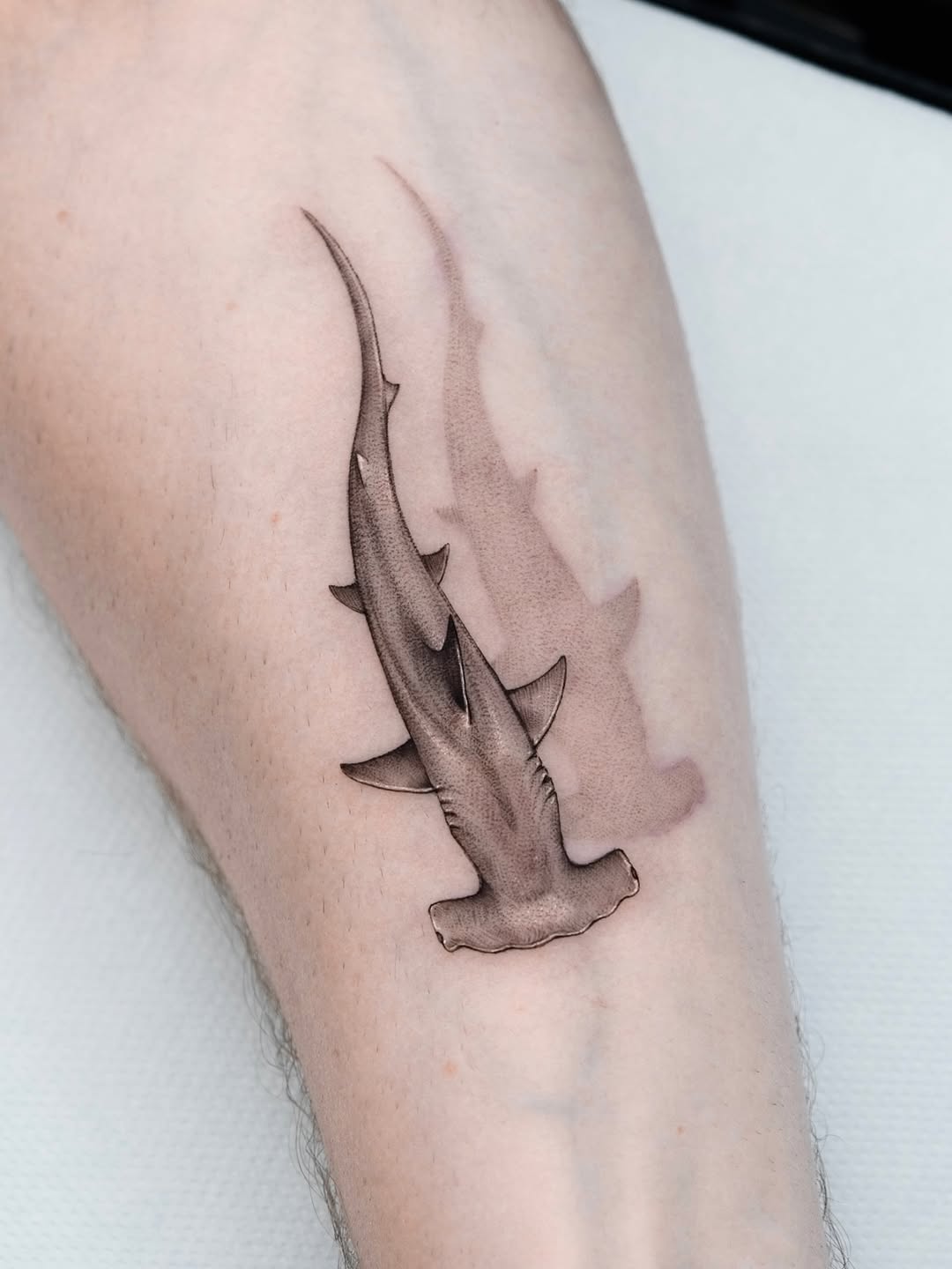 29 Shark Tattoo Ideas 2026: Bold Ocean Ink Trends That Are Taking Over