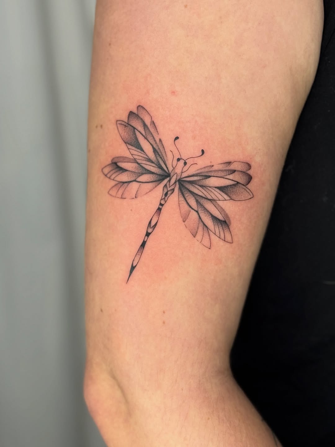31 Dragonfly Tattoo Ideas 2026: Elegant Fine Line Designs, Tiny Tattoos & Feminine Ink Inspiration