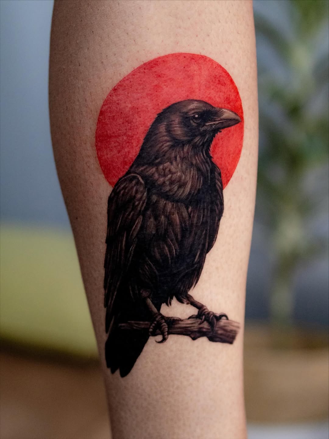 27 Crow Tattoo Ideas 2026: Dark, Symbolic & Stylish Raven Designs for Women and Men