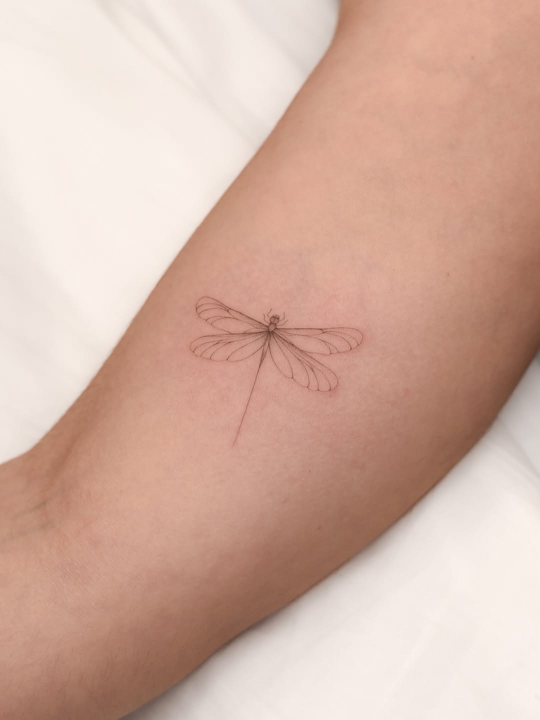31 Dragonfly Tattoo Ideas 2026: Elegant Fine Line Designs, Tiny Tattoos & Feminine Ink Inspiration