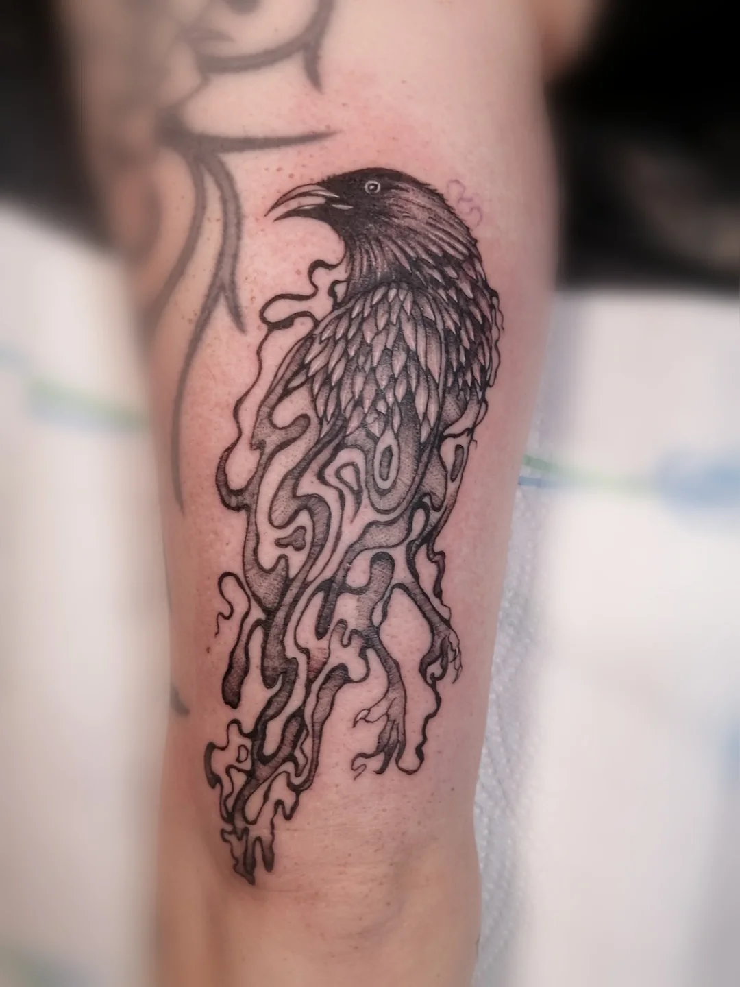 27 Crow Tattoo Ideas 2026: Dark, Symbolic & Stylish Raven Designs for Women and Men