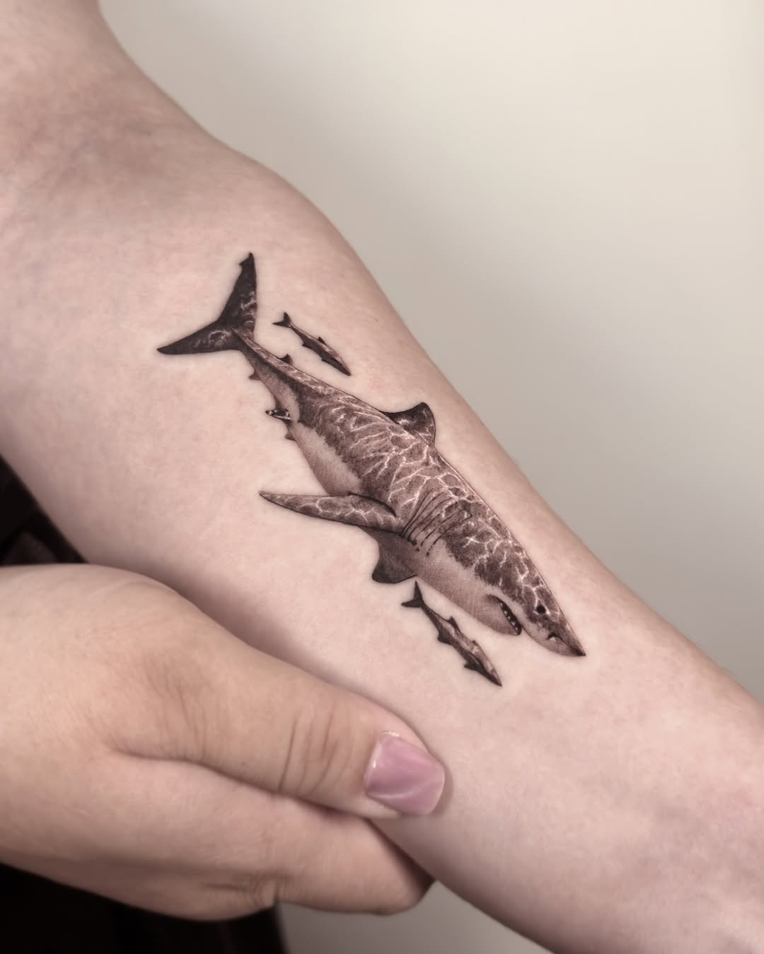 29 Shark Tattoo Ideas 2026: Bold Ocean Ink Trends That Are Taking Over