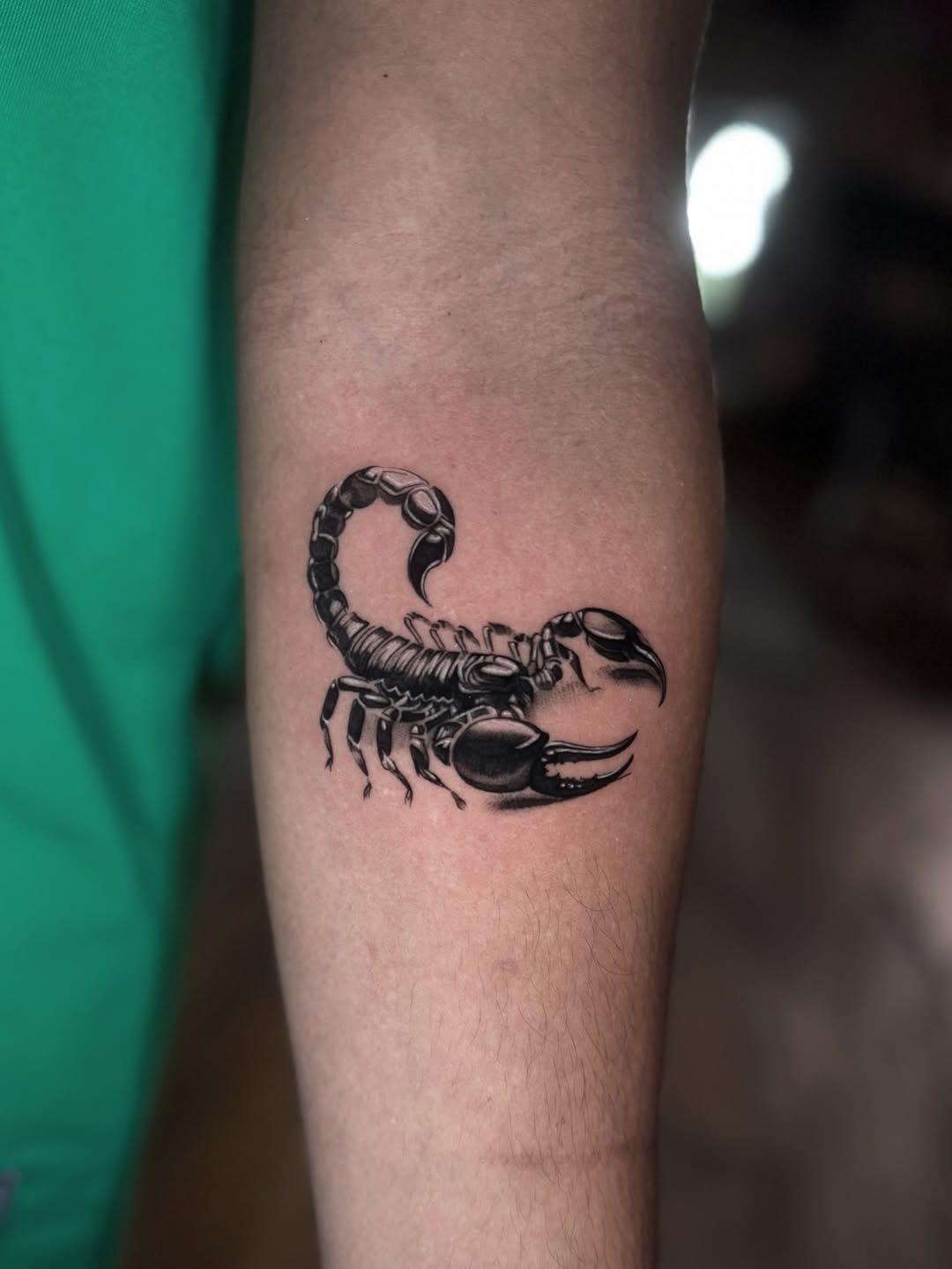 29 Scorpion Tattoo Ideas 2026: Bold, Feminine, Traditional & Fine Line Designs That Sting in Style