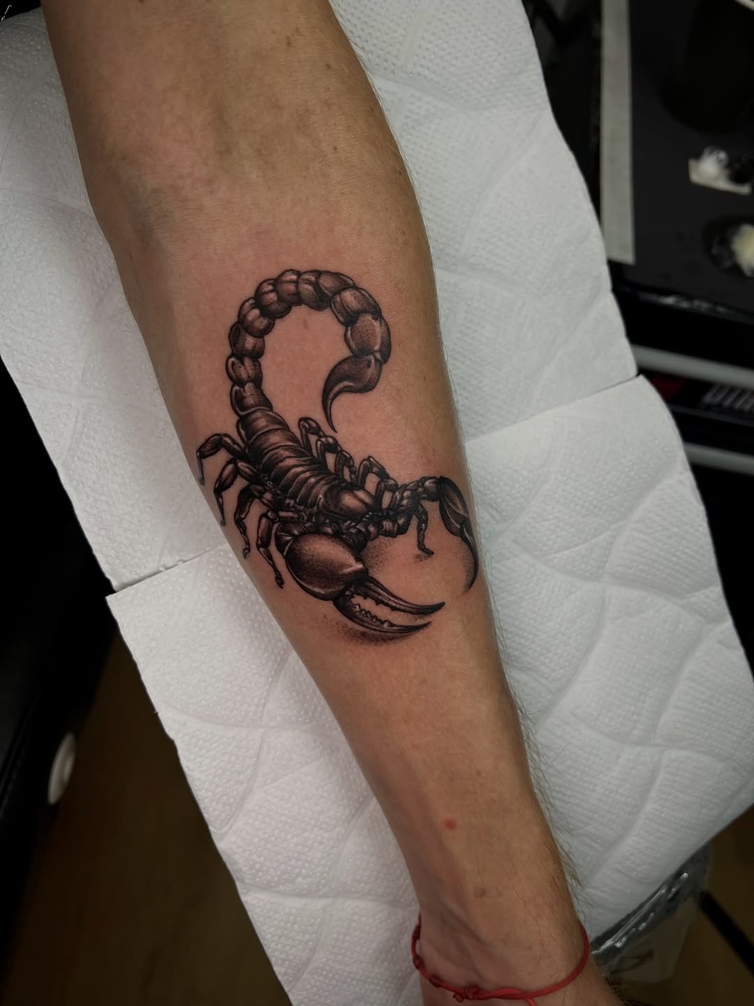 29 Scorpion Tattoo Ideas 2026: Bold, Feminine, Traditional & Fine Line Designs That Sting in Style