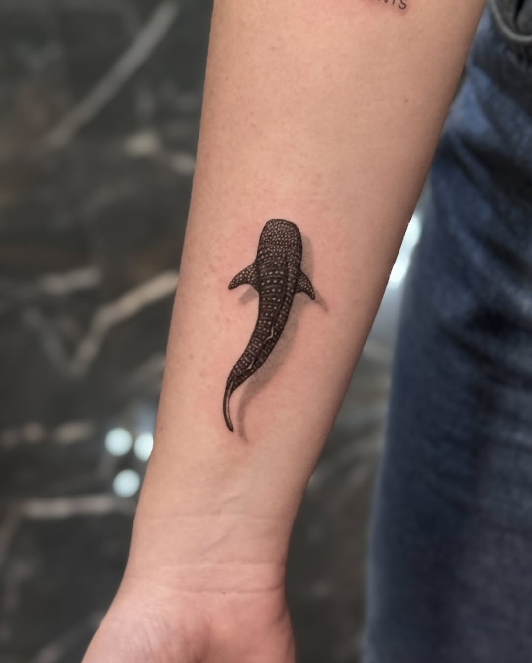 29 Shark Tattoo Ideas 2026: Bold Ocean Ink Trends That Are Taking Over