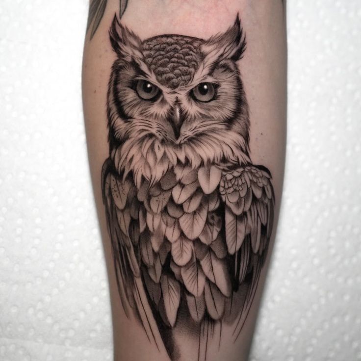 26 Owl Tattoo Ideas 2026 That Blend Dark Realism, Fine Line Art, and Timeless Symbolism