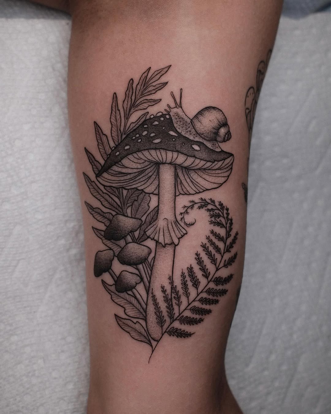 29 Magical Mushroom Tattoo Ideas 2026 That Feel Whimsical, Bold, and Nature Inspired