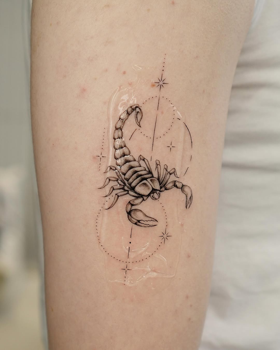 29 Scorpion Tattoo Ideas 2026: Bold, Feminine, Traditional & Fine Line Designs That Sting in Style