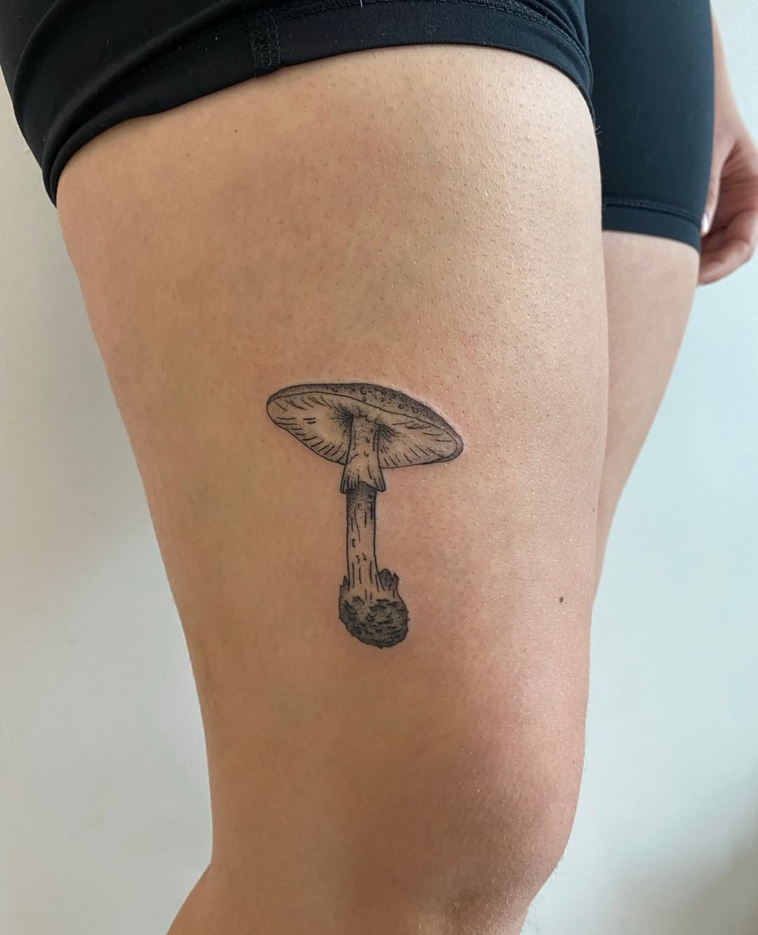 29 Magical Mushroom Tattoo Ideas 2026 That Feel Whimsical, Bold, and Nature Inspired