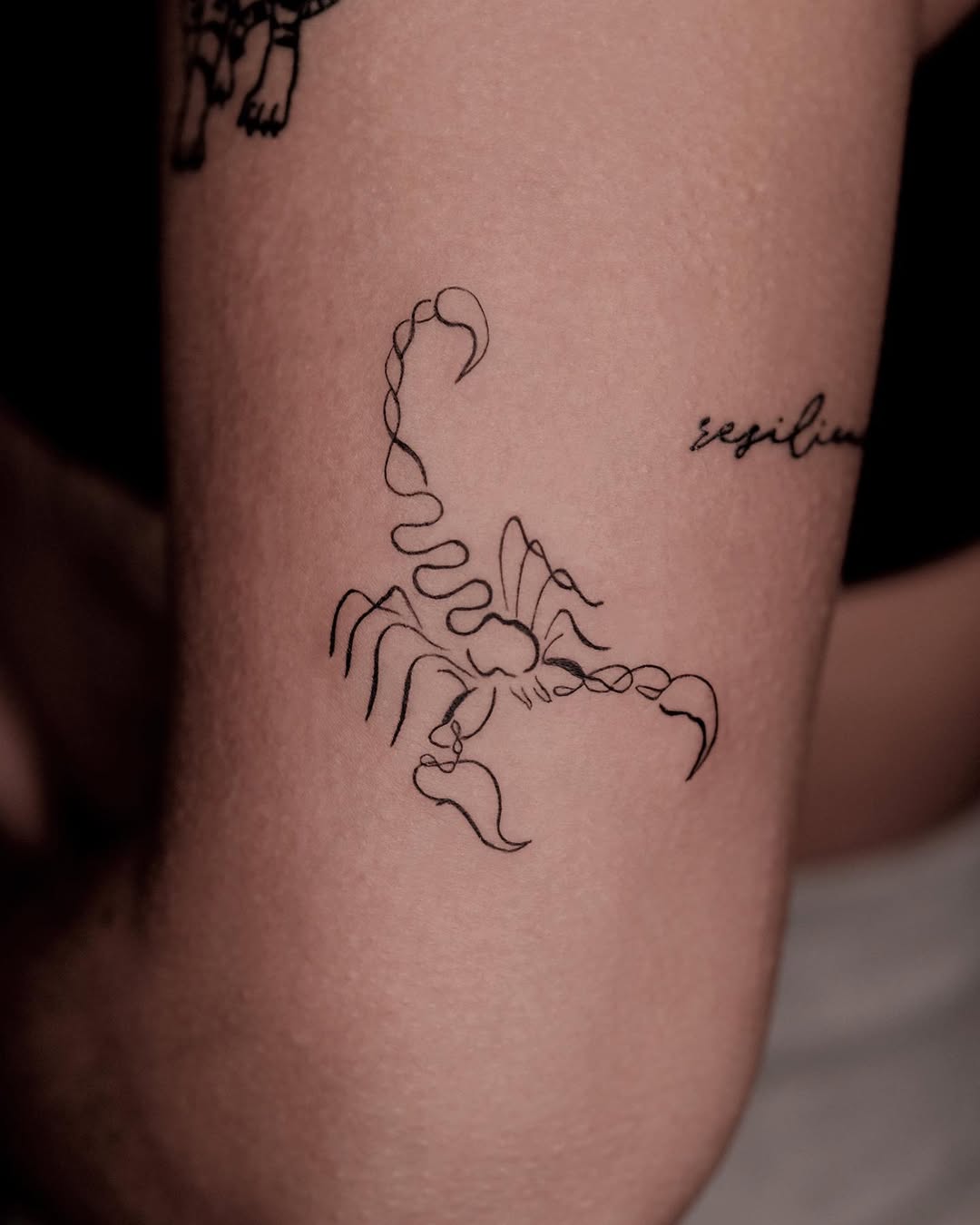 29 Scorpion Tattoo Ideas 2026: Bold, Feminine, Traditional & Fine Line Designs That Sting in Style