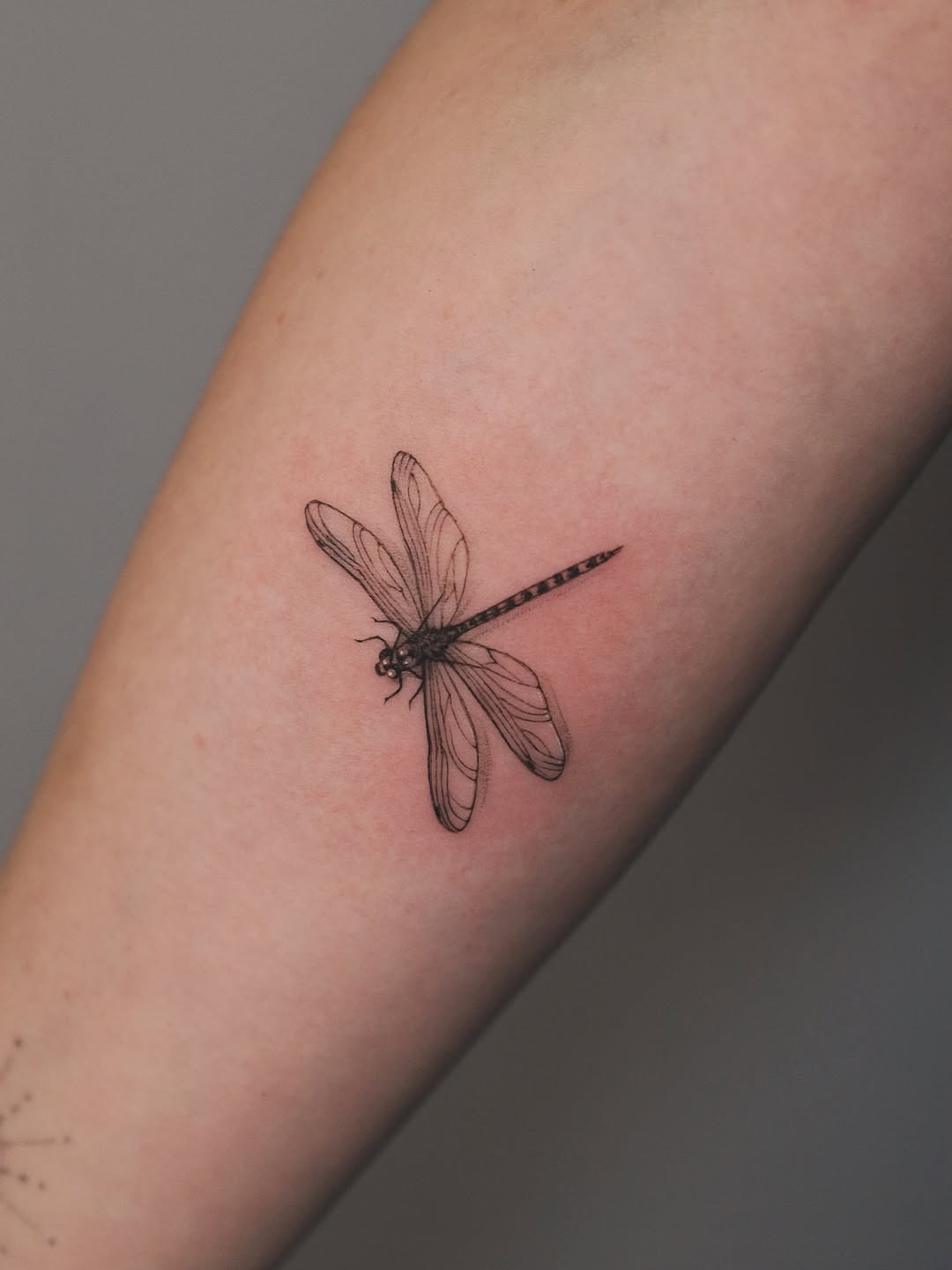 31 Dragonfly Tattoo Ideas 2026: Elegant Fine Line Designs, Tiny Tattoos & Feminine Ink Inspiration