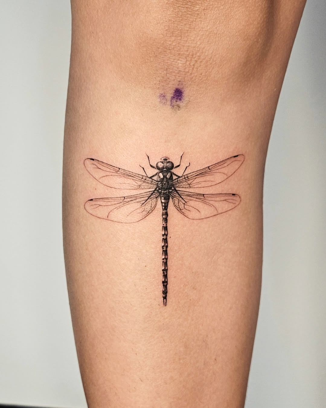 31 Dragonfly Tattoo Ideas 2026: Elegant Fine Line Designs, Tiny Tattoos & Feminine Ink Inspiration
