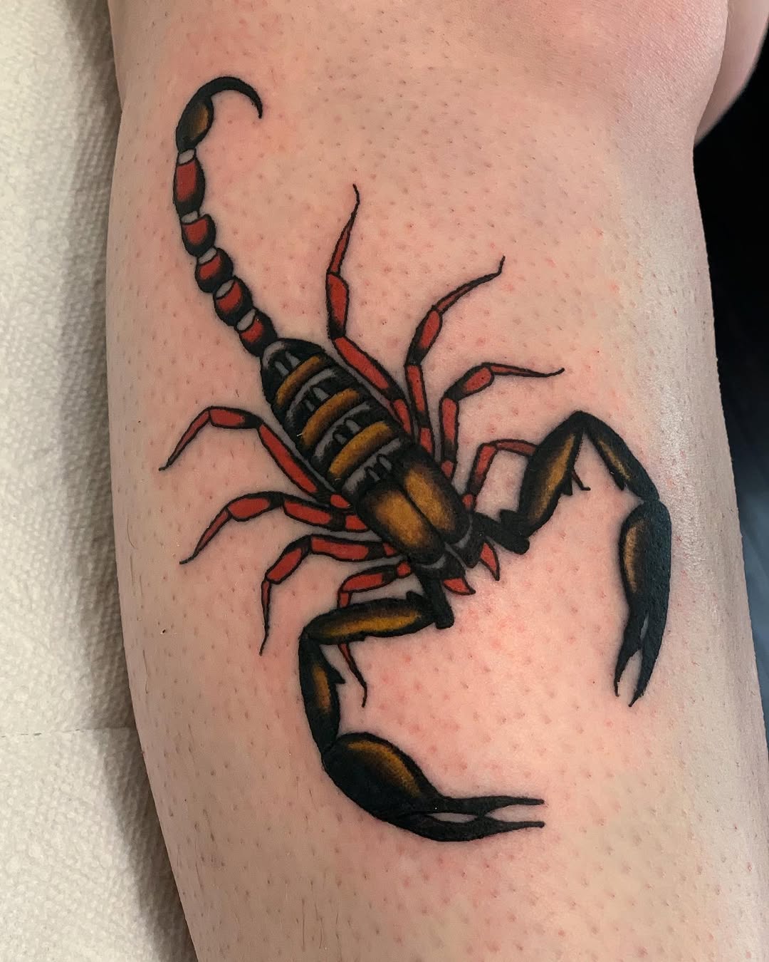 29 Scorpion Tattoo Ideas 2026: Bold, Feminine, Traditional & Fine Line Designs That Sting in Style