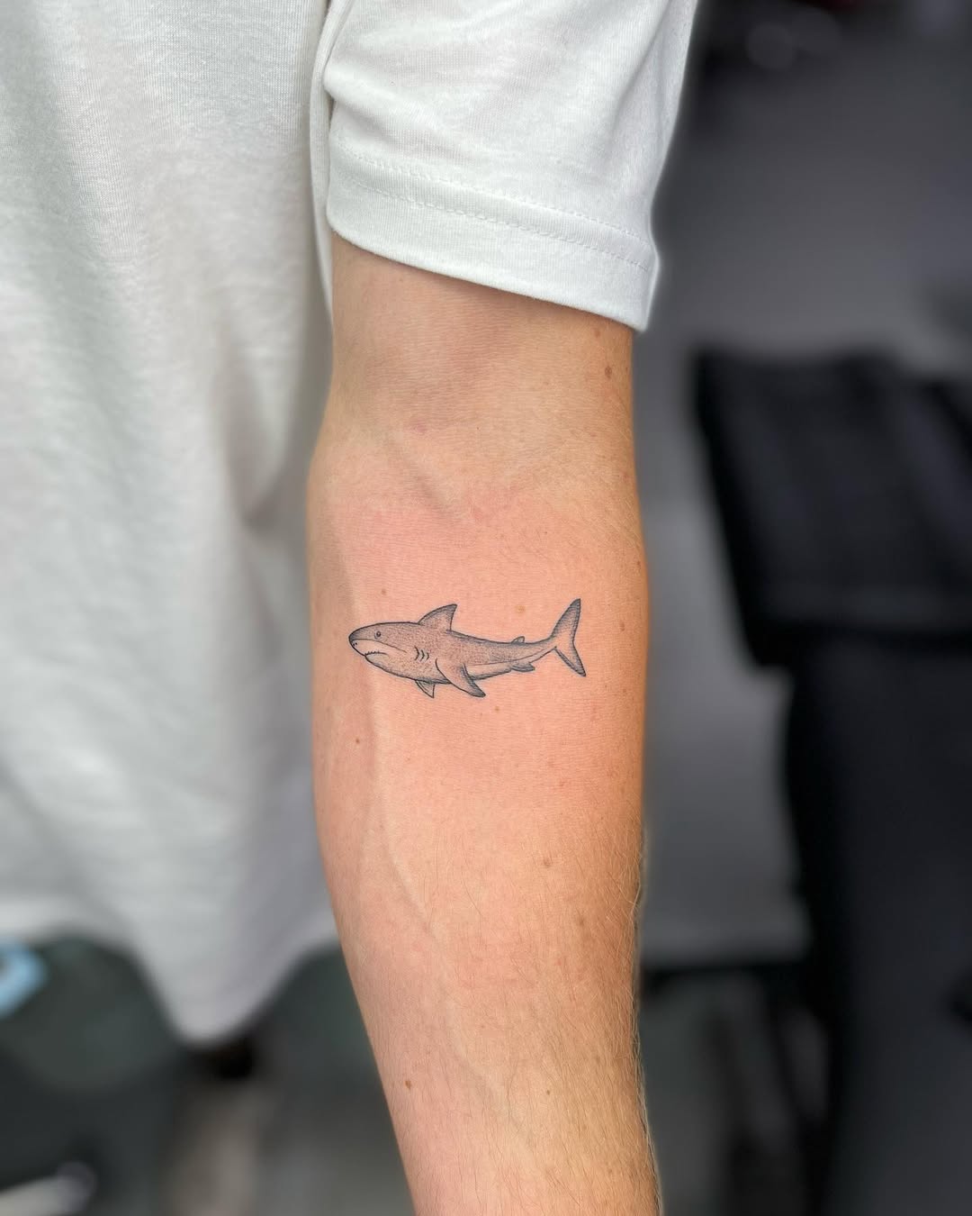 29 Shark Tattoo Ideas 2026: Bold Ocean Ink Trends That Are Taking Over