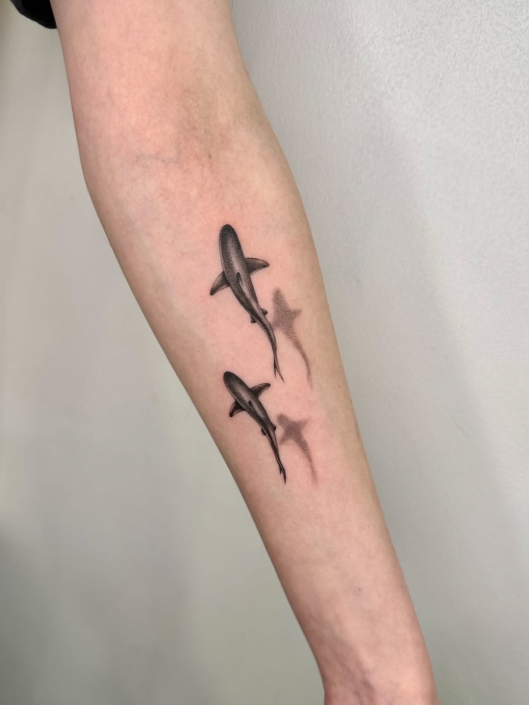 29 Shark Tattoo Ideas 2026: Bold Ocean Ink Trends That Are Taking Over