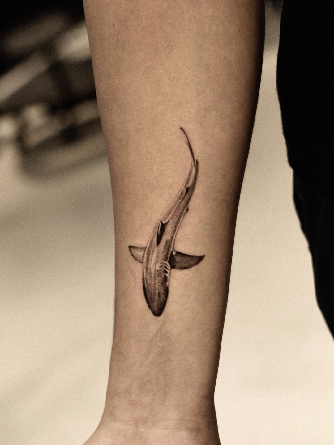 29 Shark Tattoo Ideas 2026: Bold Ocean Ink Trends That Are Taking Over