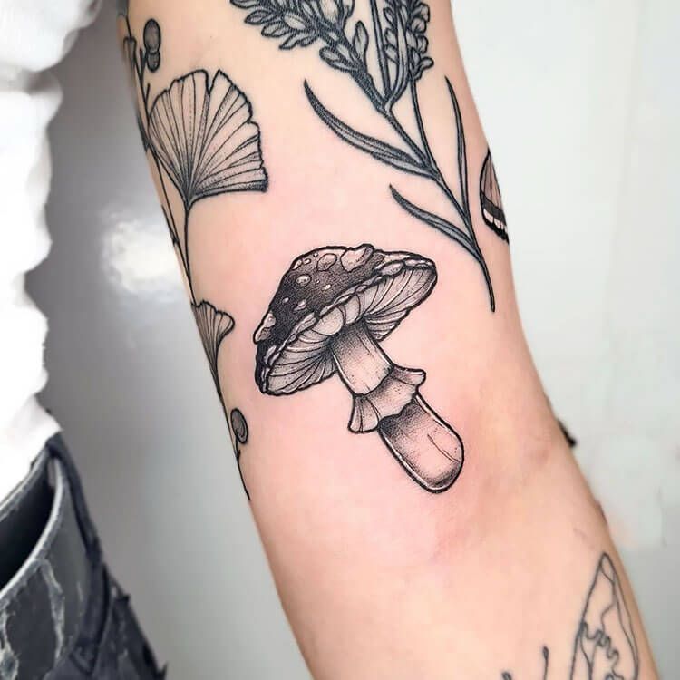 29 Magical Mushroom Tattoo Ideas 2026 That Feel Whimsical, Bold, and Nature Inspired