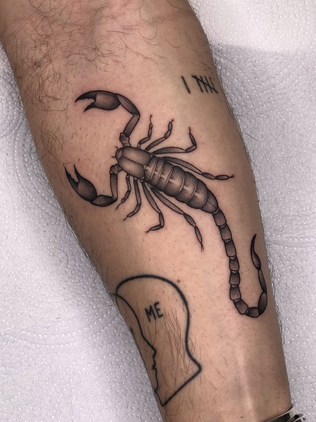 29 Scorpion Tattoo Ideas 2026: Bold, Feminine, Traditional & Fine Line Designs That Sting in Style