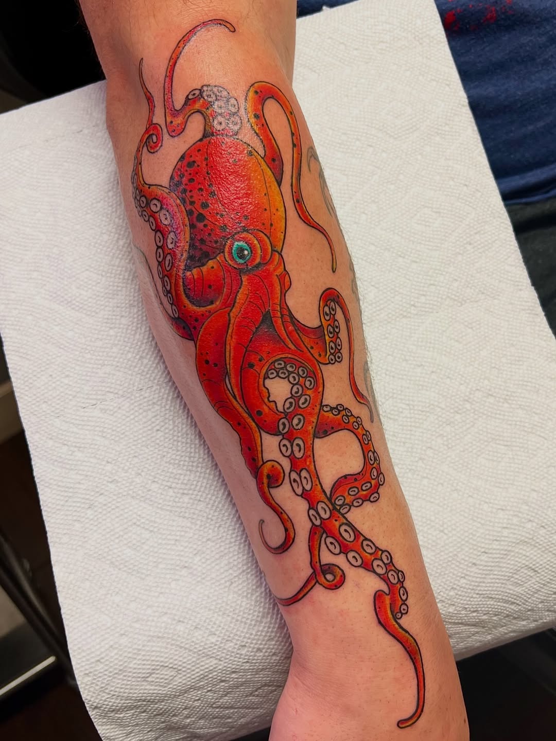 29 Octopus Tattoo Ideas 2026: Ocean-Inspired Designs That Feel Bold, Artistic, and Timeless