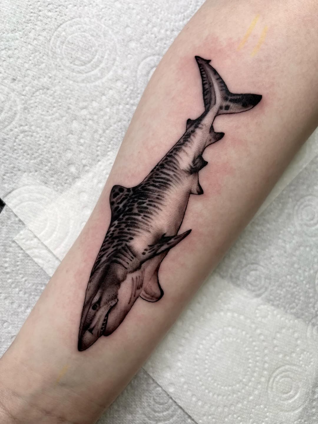 29 Shark Tattoo Ideas 2026: Bold Ocean Ink Trends That Are Taking Over