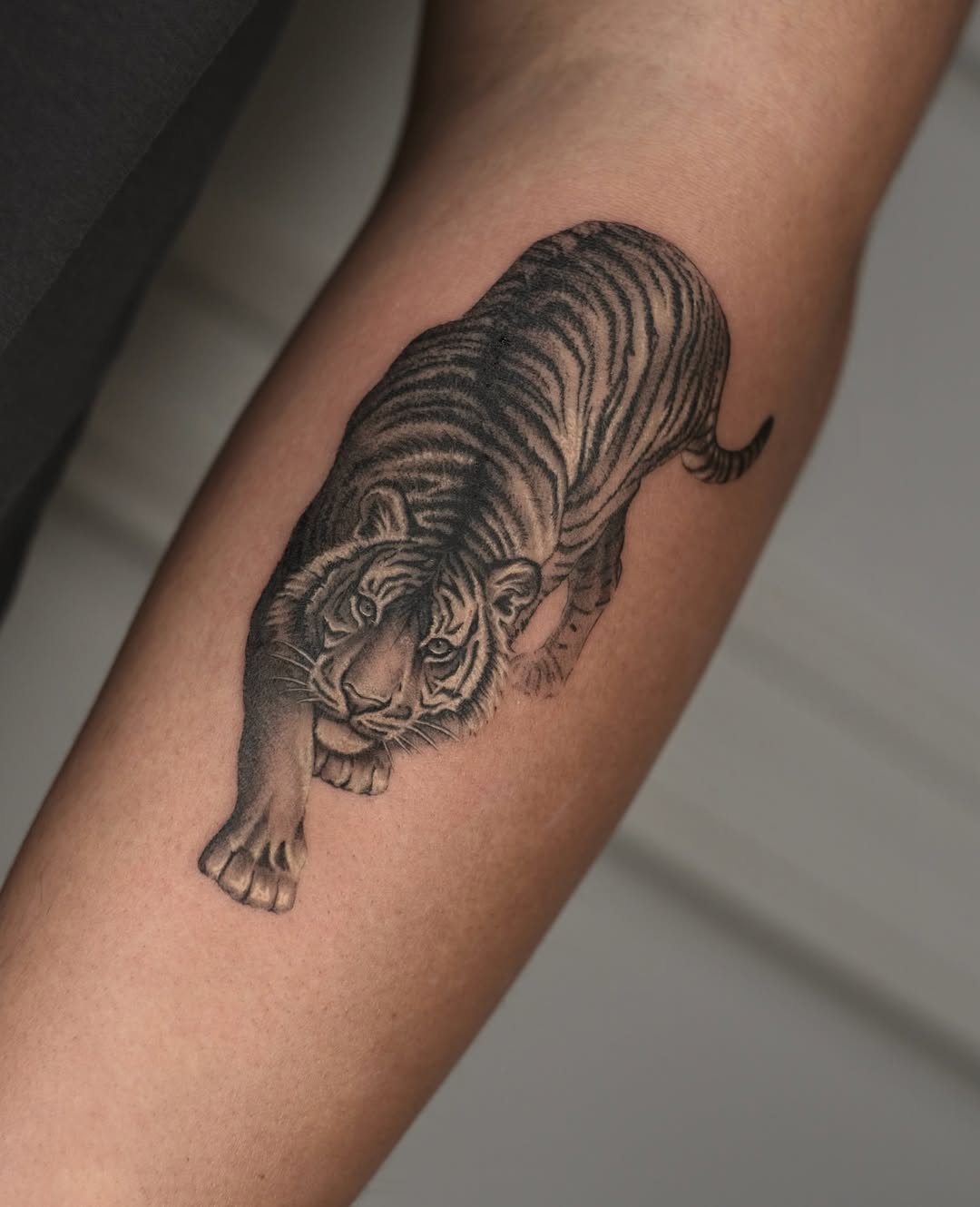 30 Tiger Tattoo Ideas 2026: Powerful Designs That Blend Strength, Art, and Personality