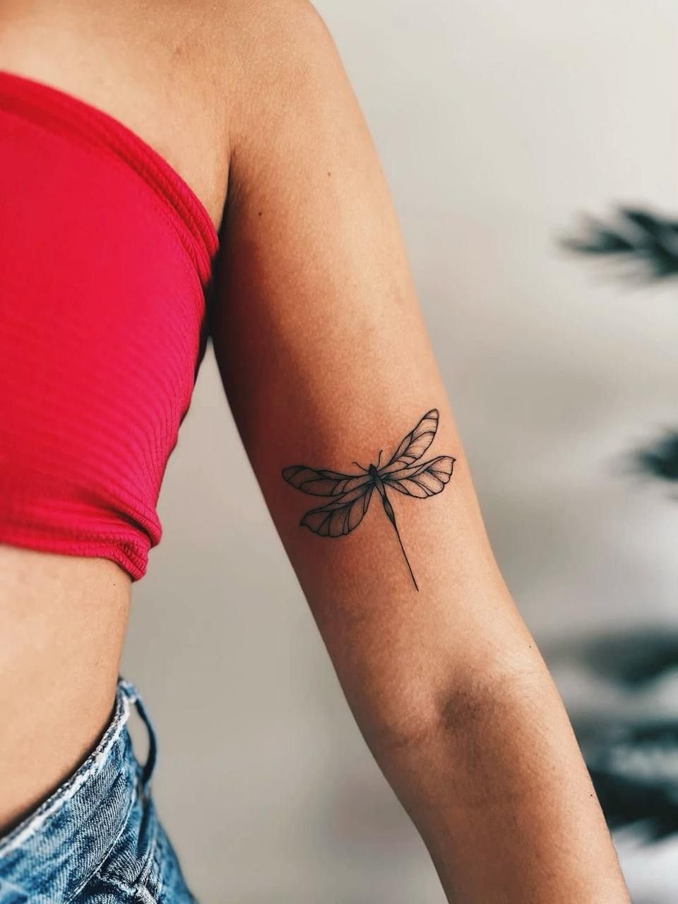 31 Dragonfly Tattoo Ideas 2026: Elegant Fine Line Designs, Tiny Tattoos & Feminine Ink Inspiration