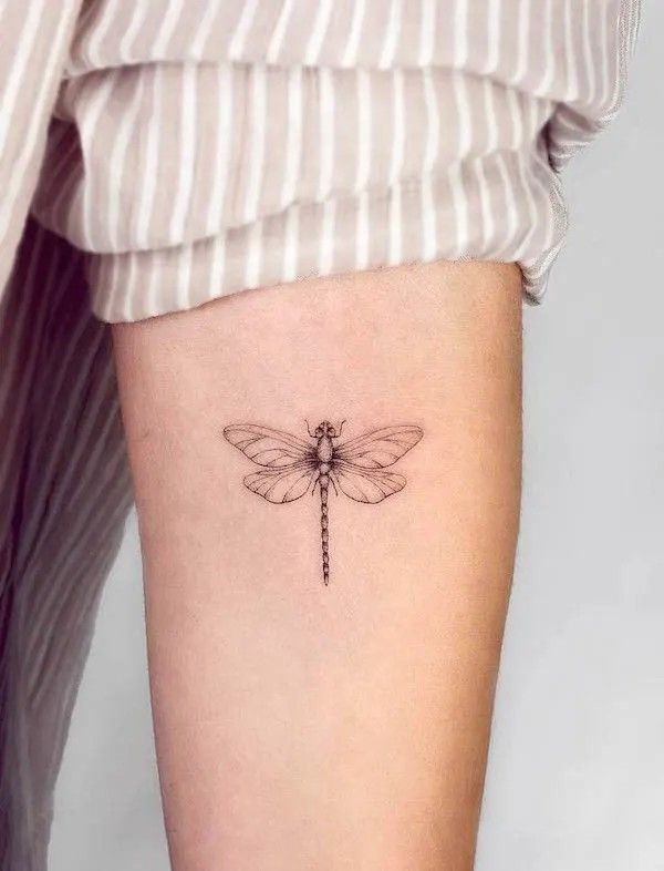 31 Dragonfly Tattoo Ideas 2026: Elegant Fine Line Designs, Tiny Tattoos & Feminine Ink Inspiration