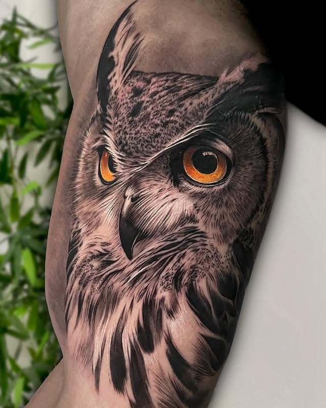 26 Owl Tattoo Ideas 2026 That Blend Dark Realism, Fine Line Art, and Timeless Symbolism