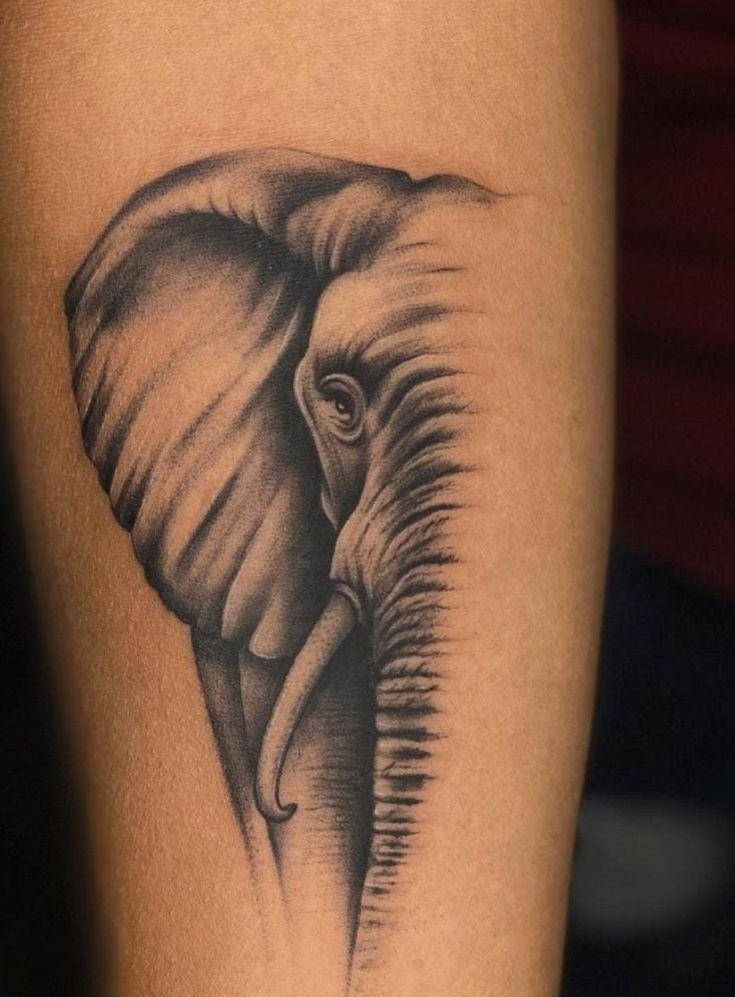 29 Elephant Tattoo Ideas 2026: Inspiring Designs Full of Meaning, Family Symbolism, and Artistic Detail