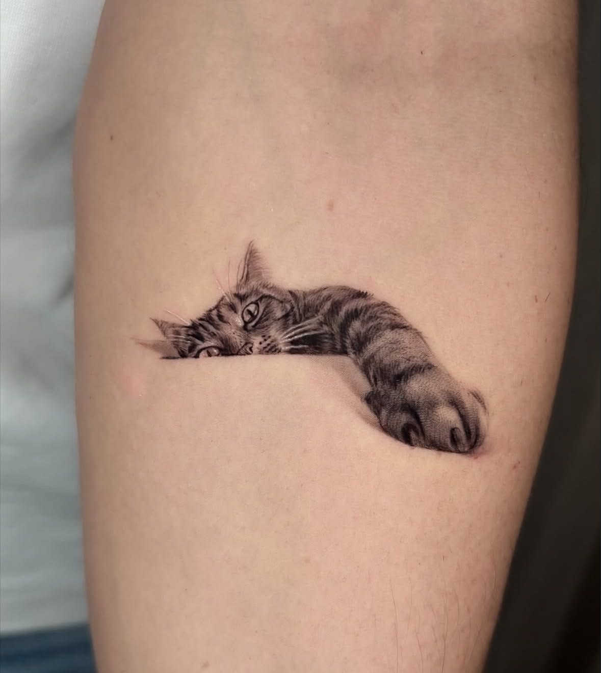 28 Cat Tattoo Ideas 2026: Creative Designs for Every Cat Lover