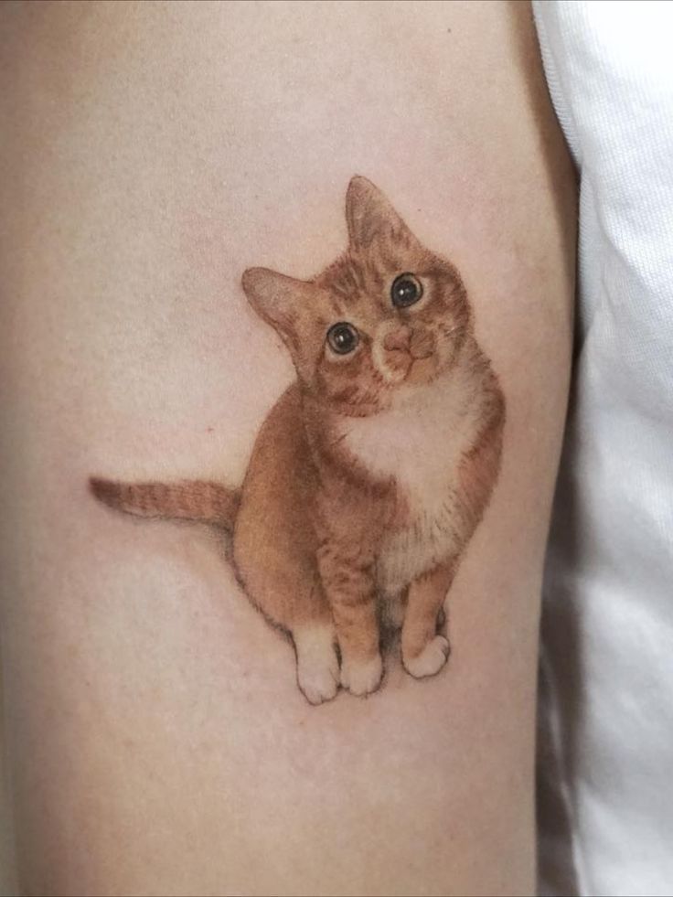 28 Cat Tattoo Ideas 2026: Creative Designs for Every Cat Lover