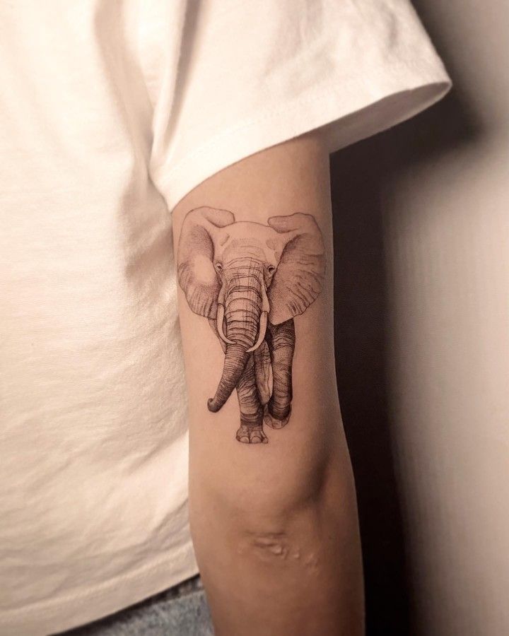 29 Elephant Tattoo Ideas 2026: Inspiring Designs Full of Meaning, Family Symbolism, and Artistic Detail