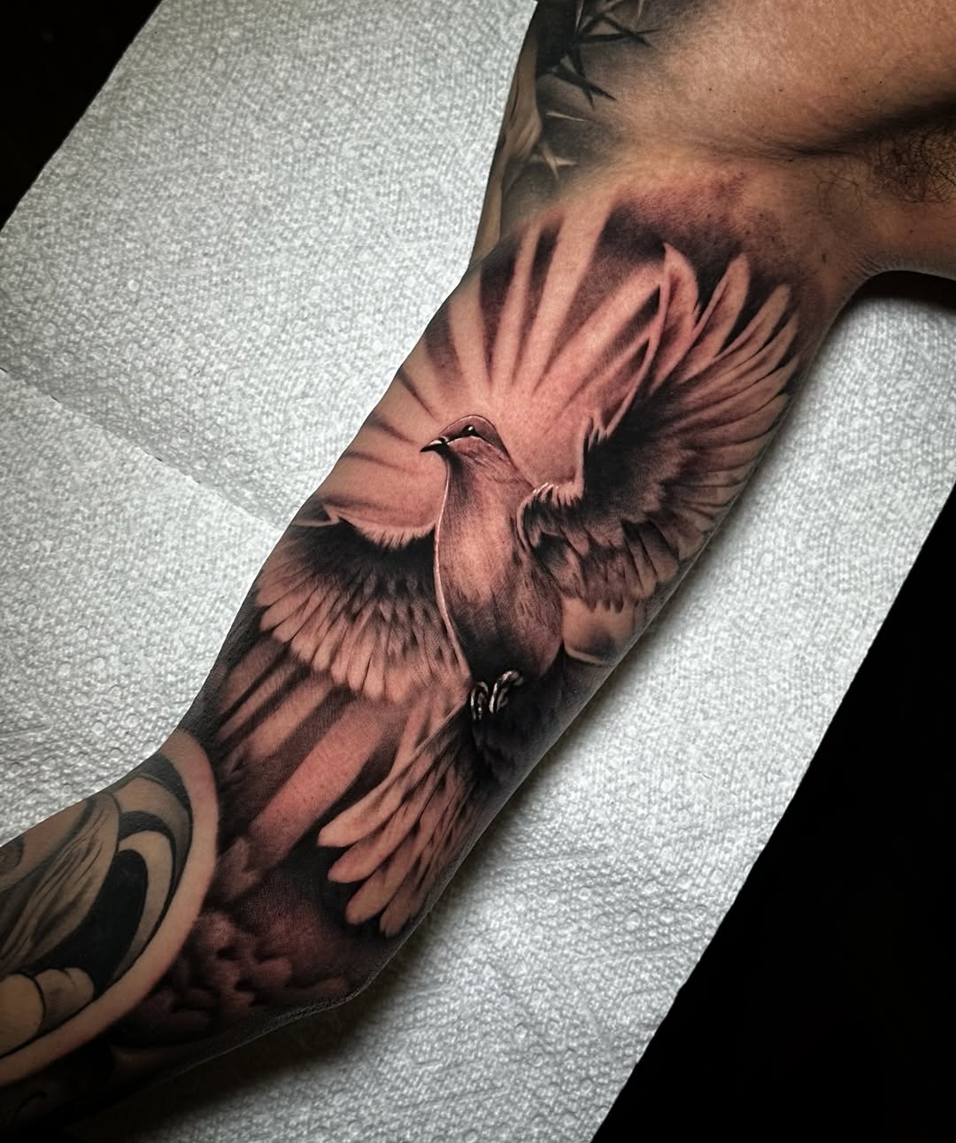 29 Dove Tattoo Ideas 2026: Meaningful Designs That Celebrate Peace, Freedom, and Hope