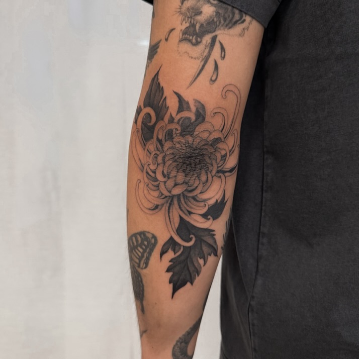 29 Chrysanthemum Tattoo Ideas 2026: Elegant Floral Designs Full of Meaning