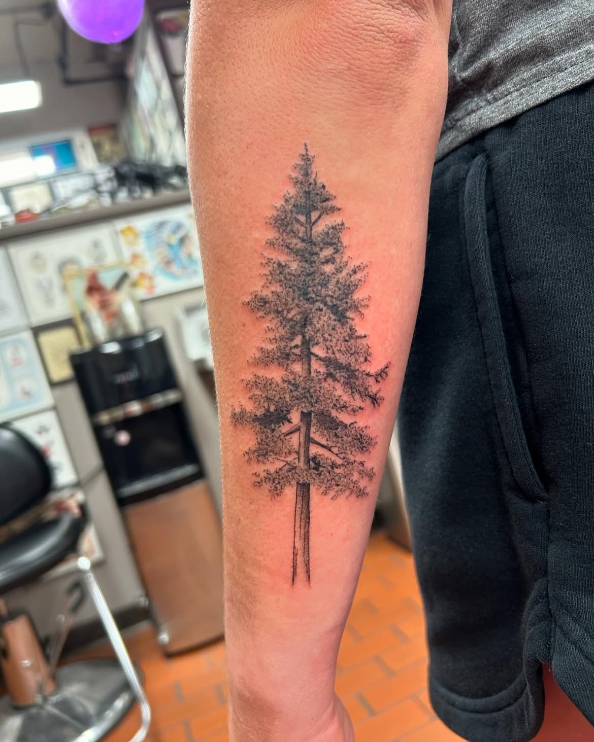 30 Tree Tattoo Ideas 2026: Inspiring Designs That Celebrate Nature, Growth, and Timeless Symbolism