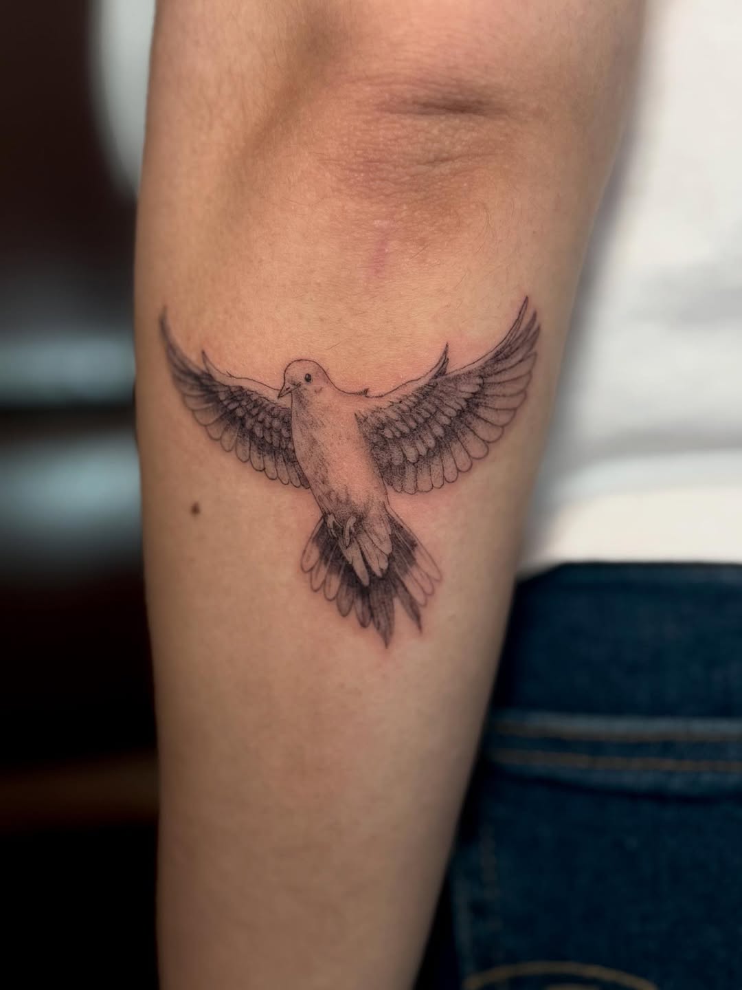 29 Dove Tattoo Ideas 2026: Meaningful Designs That Celebrate Peace, Freedom, and Hope