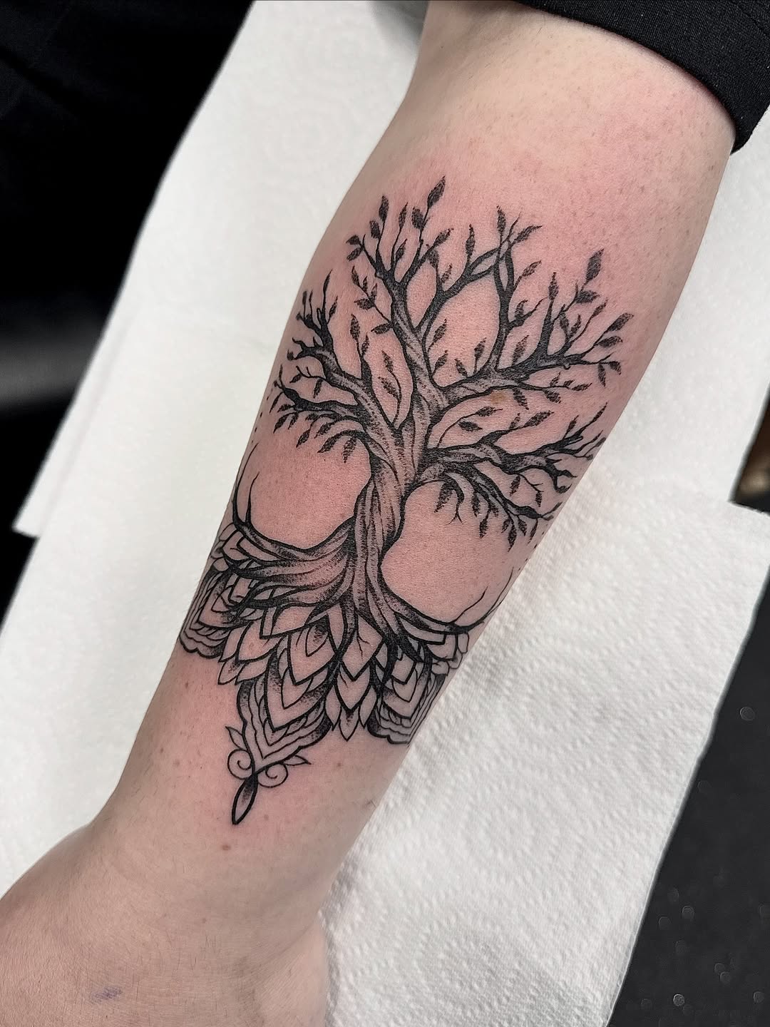 30 Tree of Life Tattoo Ideas 2026: Meaningful Designs, Celtic Roots, and Modern Ink Inspiration