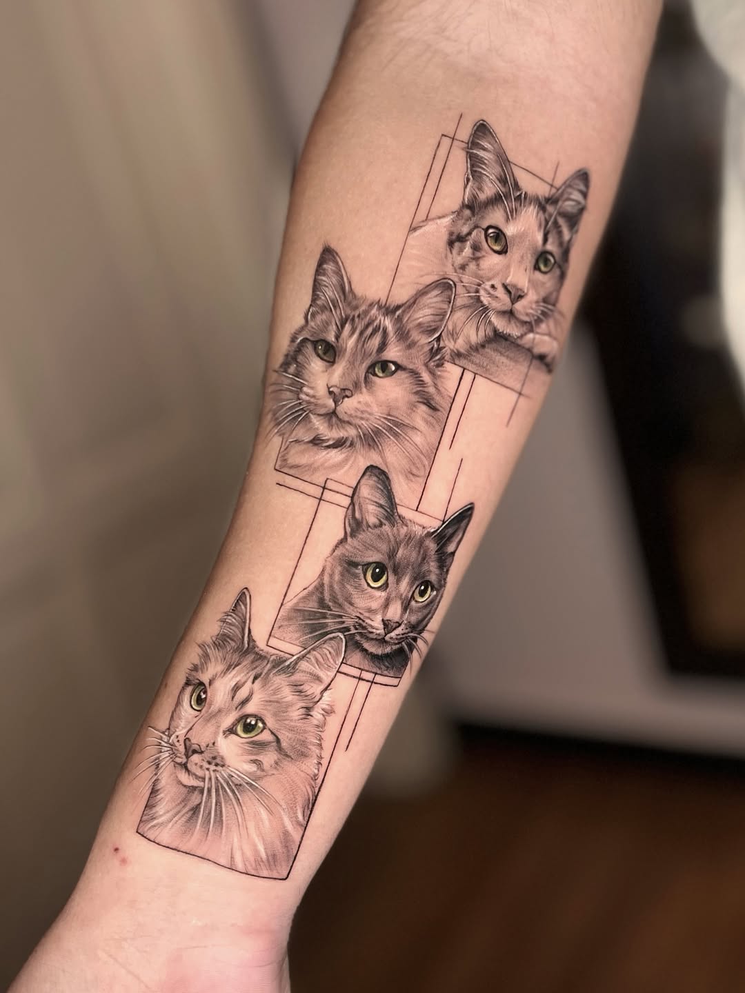 28 Cat Tattoo Ideas 2026: Creative Designs for Every Cat Lover