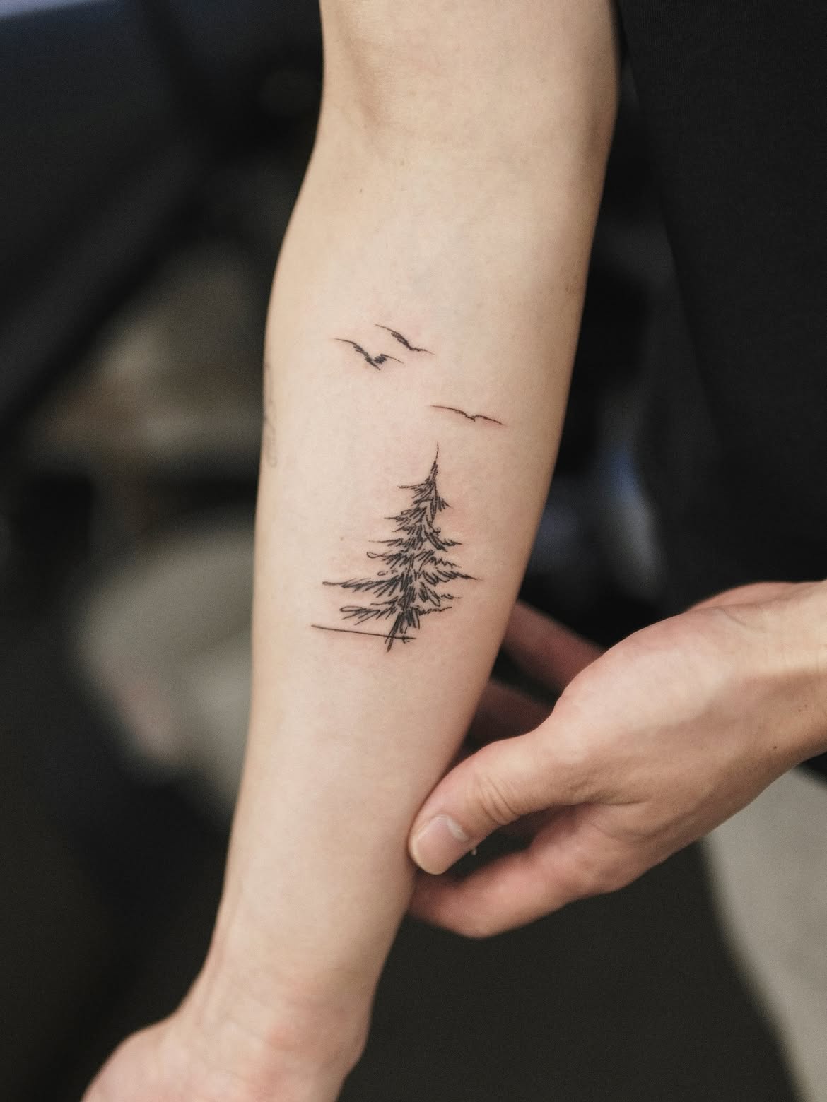 30 Tree Tattoo Ideas 2026: Inspiring Designs That Celebrate Nature, Growth, and Timeless Symbolism
