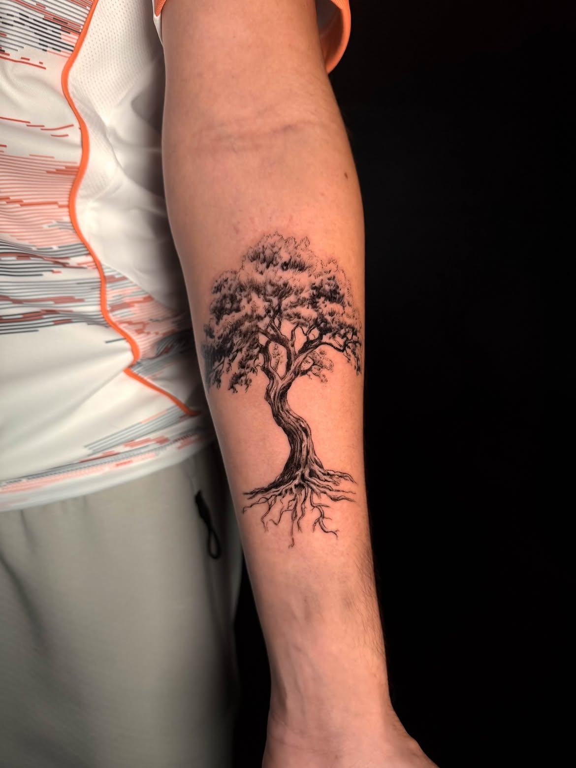 30 Tree Tattoo Ideas 2026: Inspiring Designs That Celebrate Nature, Growth, and Timeless Symbolism