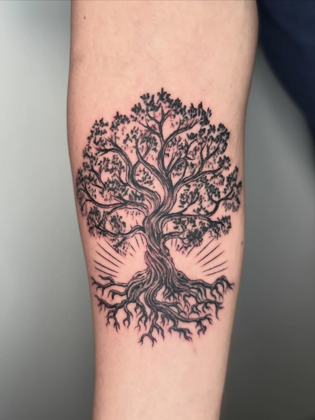 30 Tree of Life Tattoo Ideas 2026: Meaningful Designs, Celtic Roots, and Modern Ink Inspiration