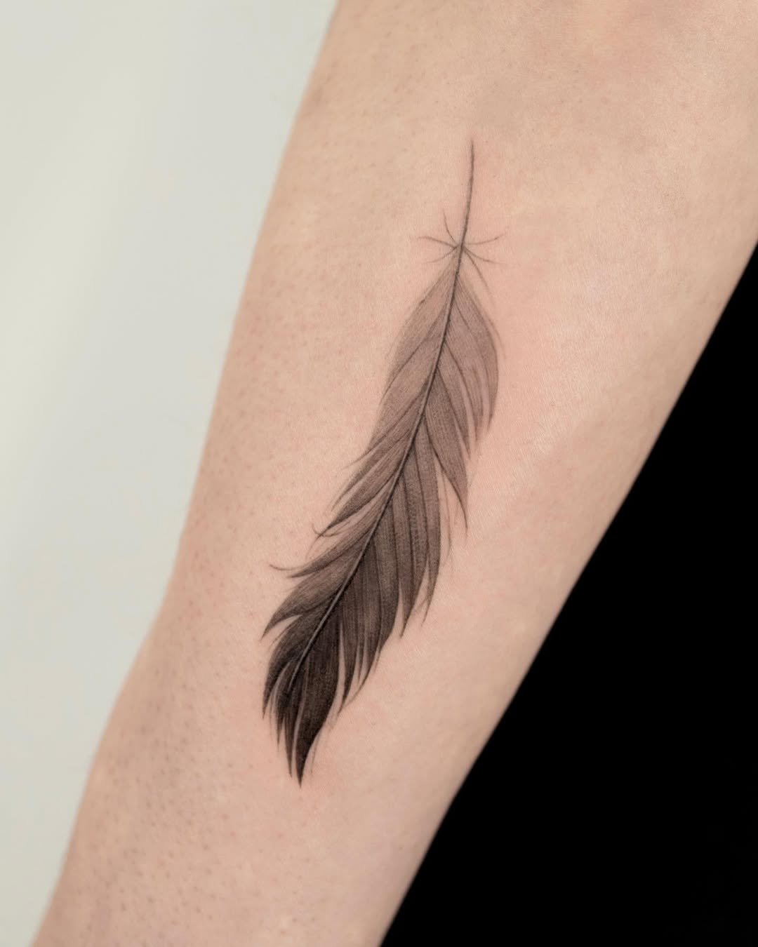 28 Feather Tattoo Ideas 2026: Elegant Designs, Symbolism, and Timeless Inspiration