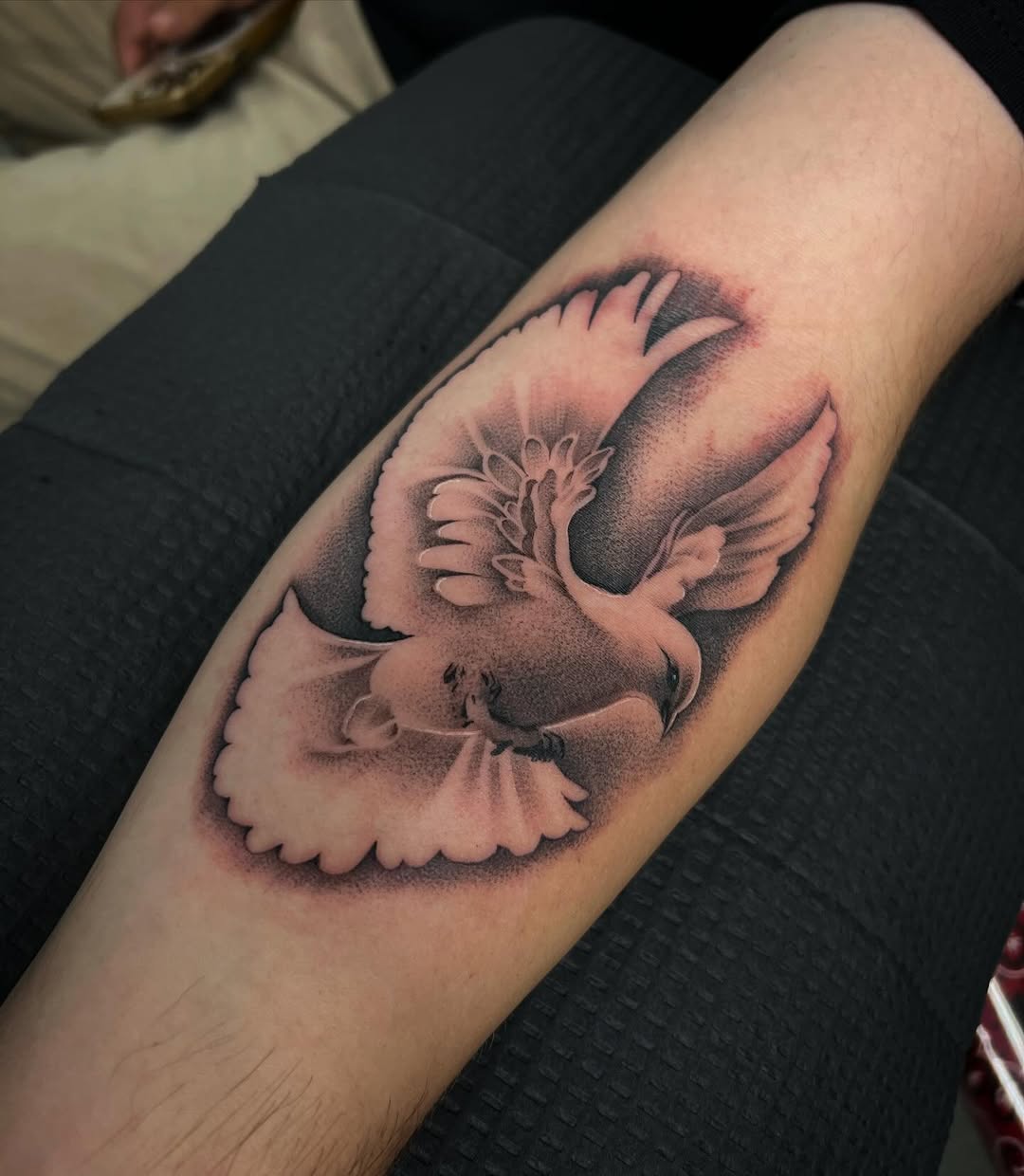 29 Dove Tattoo Ideas 2026: Meaningful Designs That Celebrate Peace, Freedom, and Hope